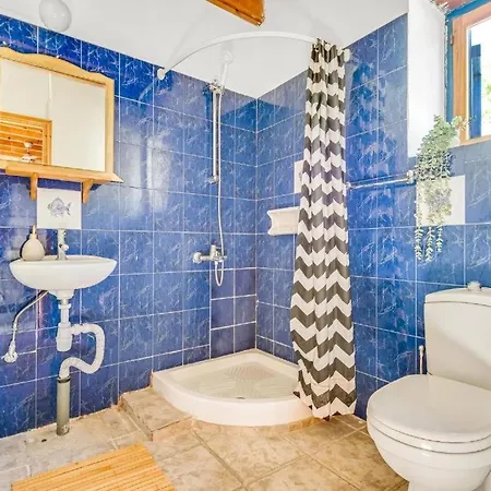 Apartment Cornaro House